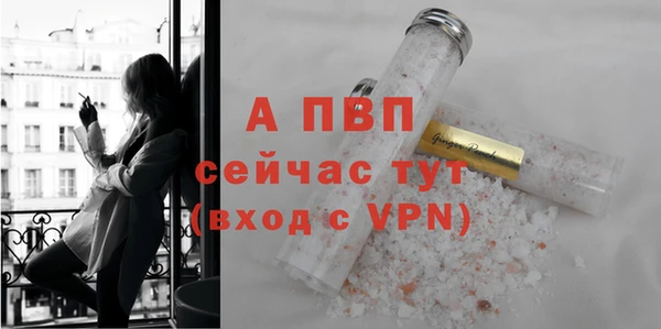сатива Магас