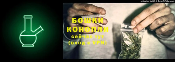 ПСИЛОЦИБИНОВЫЕ ГРИБЫ Лихославль