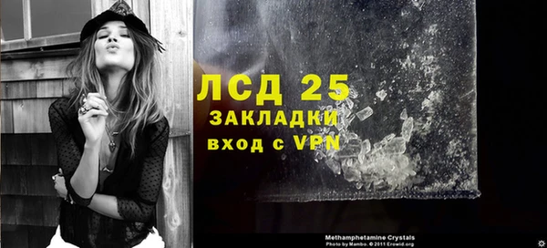 сатива Магас