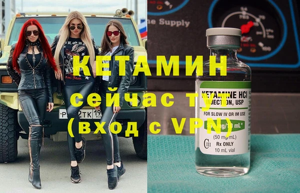сатива Магас