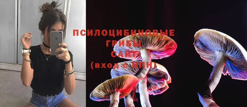 Псилоцибиновые грибы Magic Shrooms  Лабинск 