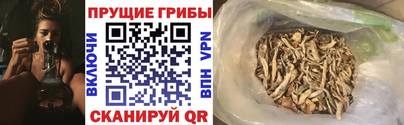 даркнет как зайти  Лабинск  Псилоцибиновые грибы Psilocybe  купить наркотик 