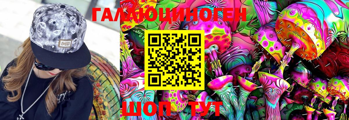 Галлюциногенные грибы Psilocybe  сколько стоит  Лабинск  Вход с VPN 